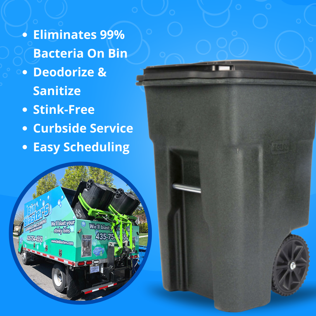1 Service - Single Cleaning, TWO Bins Included