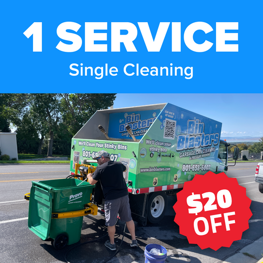 1 Service - Single Cleaning, TWO Bins Included